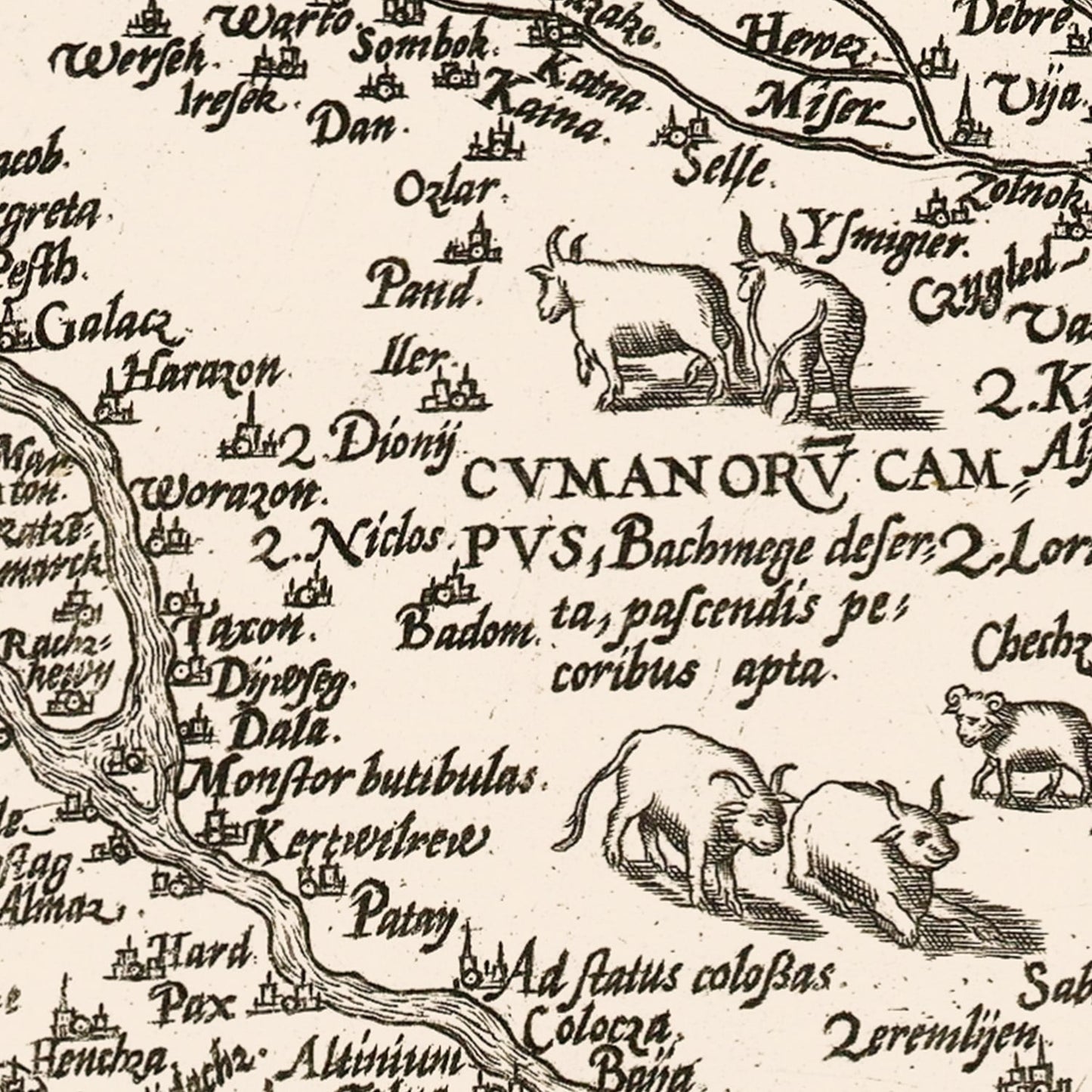 Vintage Map of Hungary, 1570