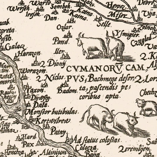 Vintage Map of Hungary, 1570
