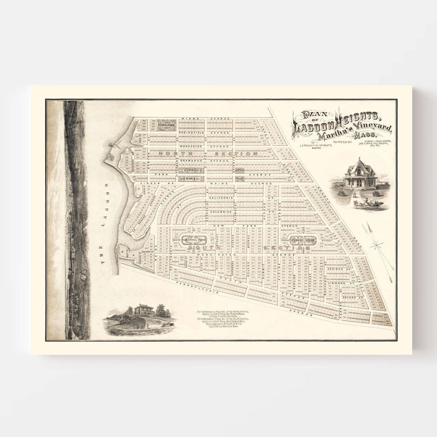 Vintage Lagoon Heights, Martha's Vineyard Map, 1873