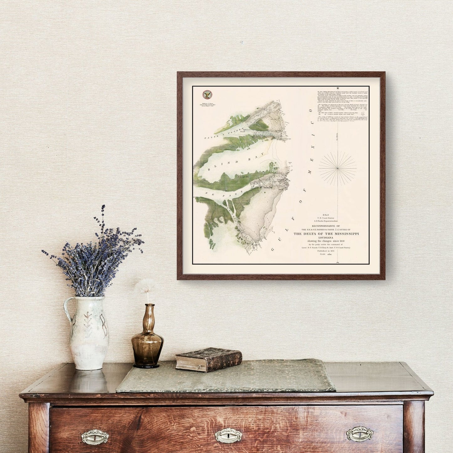 Vintage Mississippi River Delta Map, 1851