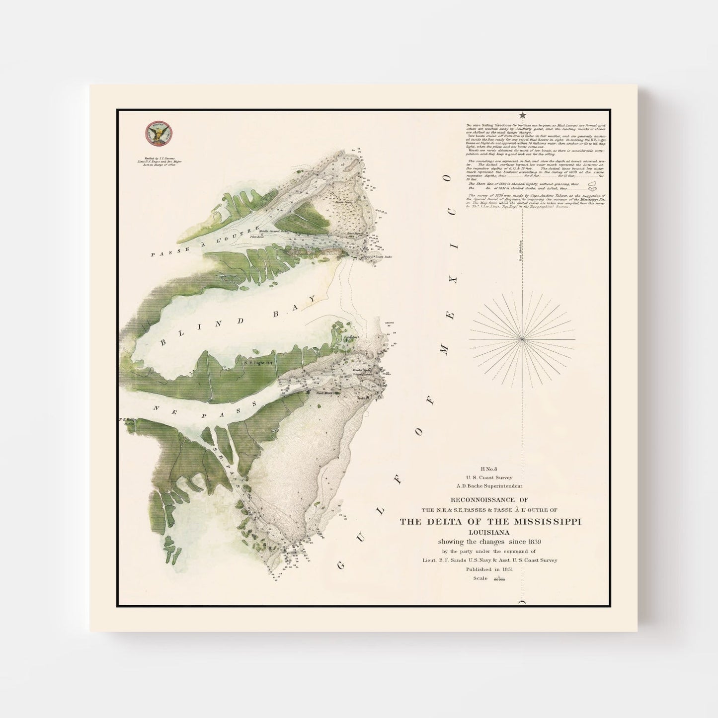 Vintage Mississippi River Delta Map, 1851