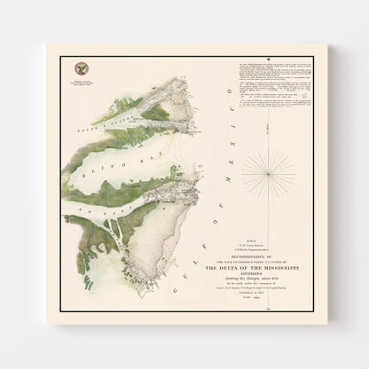 Vintage Mississippi River Delta Map, 1851