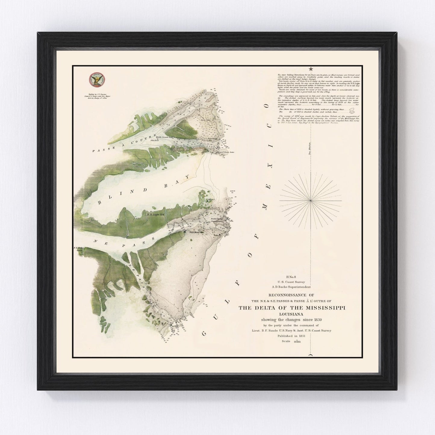 vintage map of the Mississippi River Delta, Louisiana, 1851