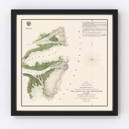 vintage map of the Mississippi River Delta, Louisiana, 1851