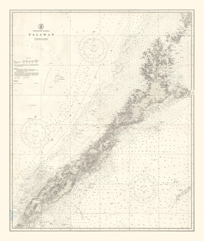 Vintage Map of Palawan Island, Philippines, 1938