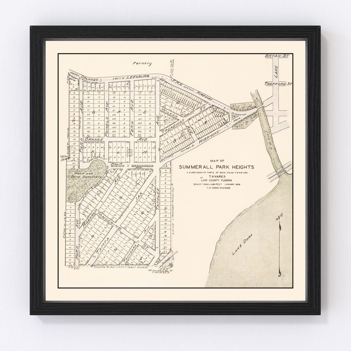 Vintage 1926 Summerall Park Heights Tavares Florida map, digitally restored print