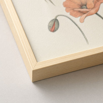 Poppy and Willow 9th Anniversary Wall Art, Framed