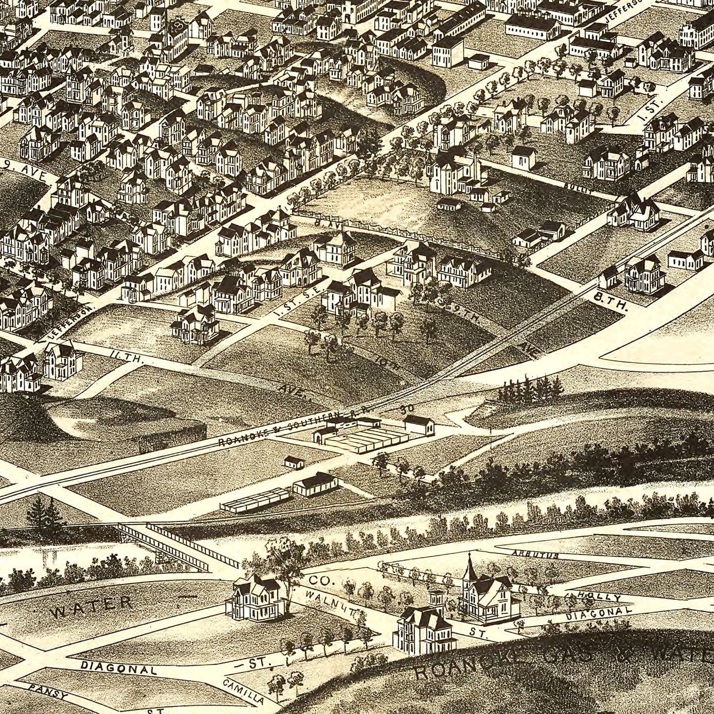 Vintage Map of Roanoke, Virginia, 1891