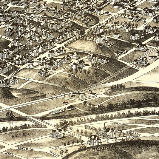 Vintage Map of Roanoke, Virginia, 1891