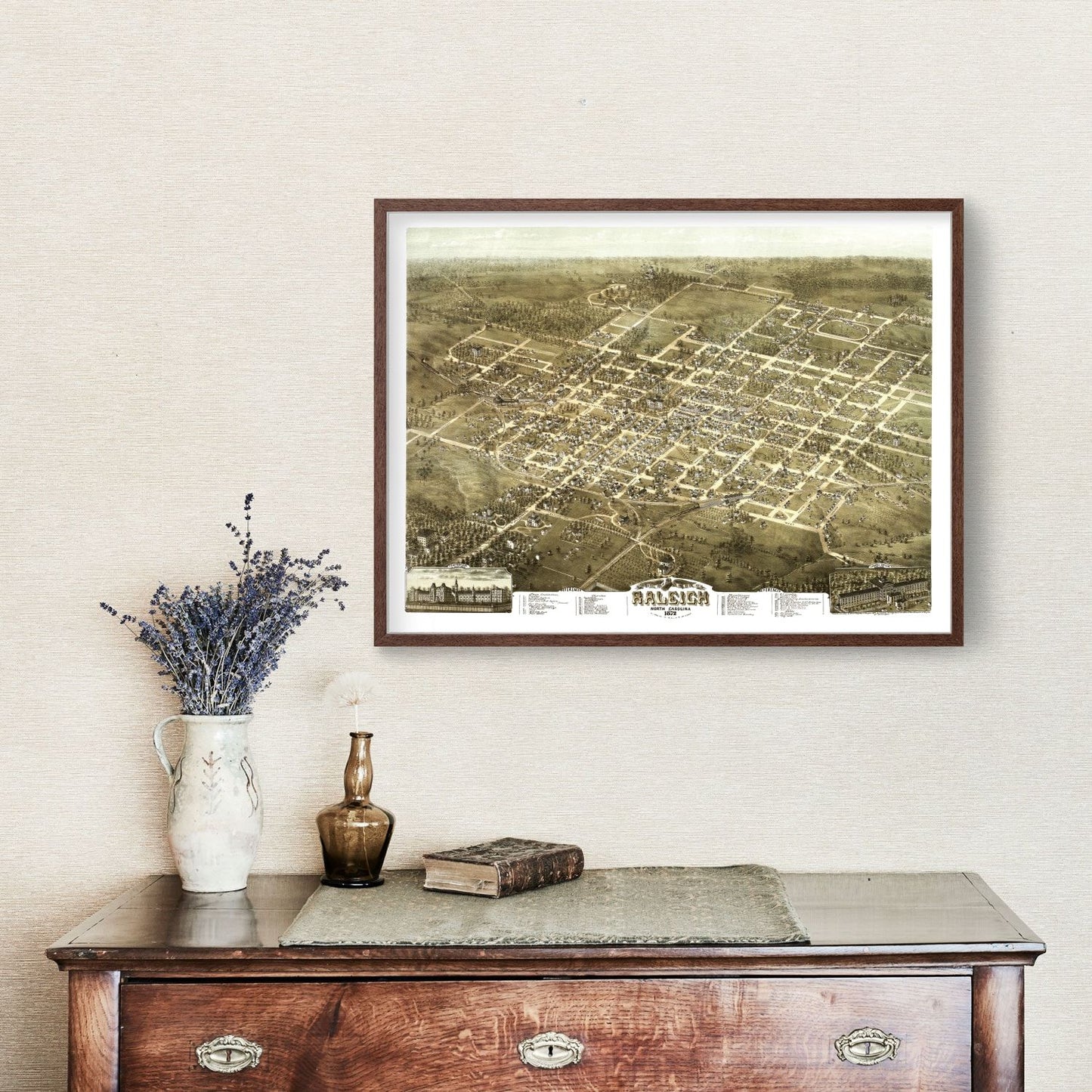 Vintage Map of Raleigh, North Carolina, 1872