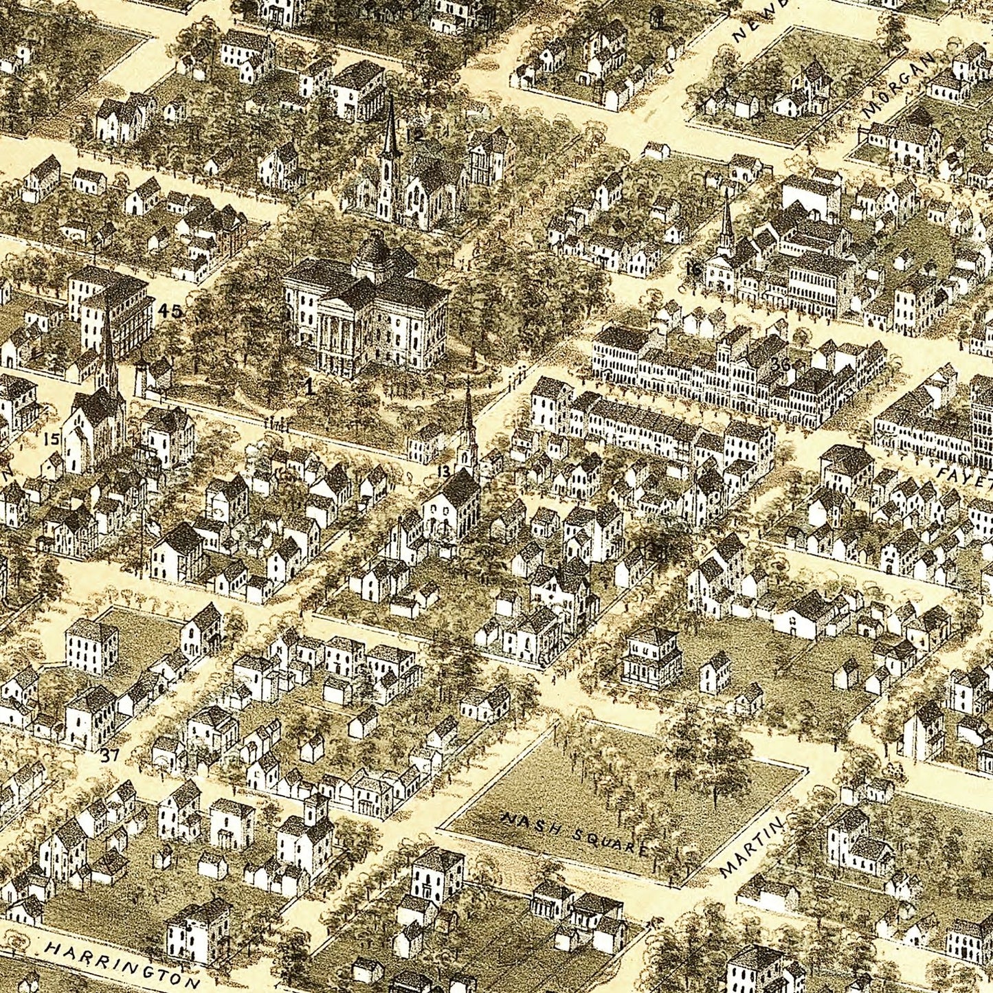 Vintage Map of Raleigh, North Carolina, 1872