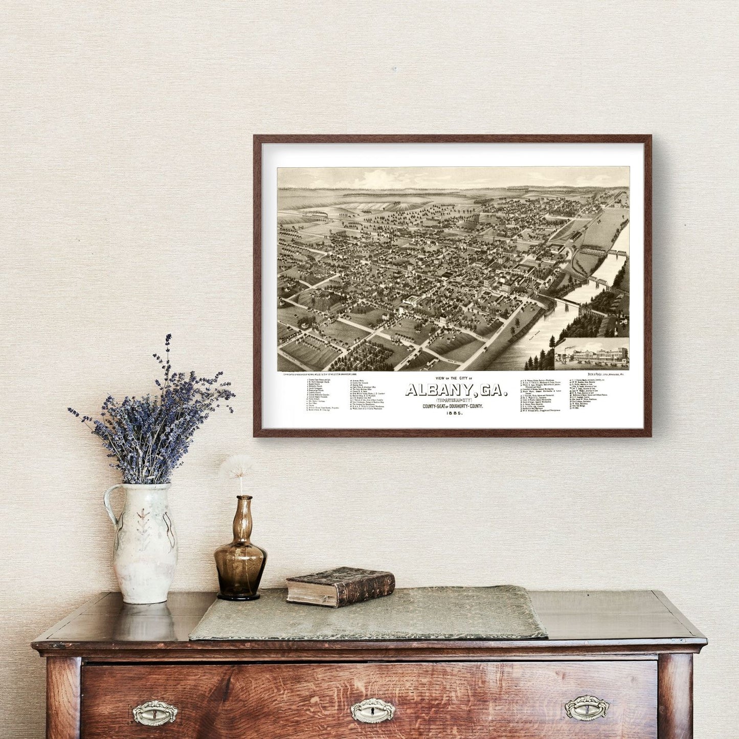 Vintage Map of Albany, Georgia, 1885