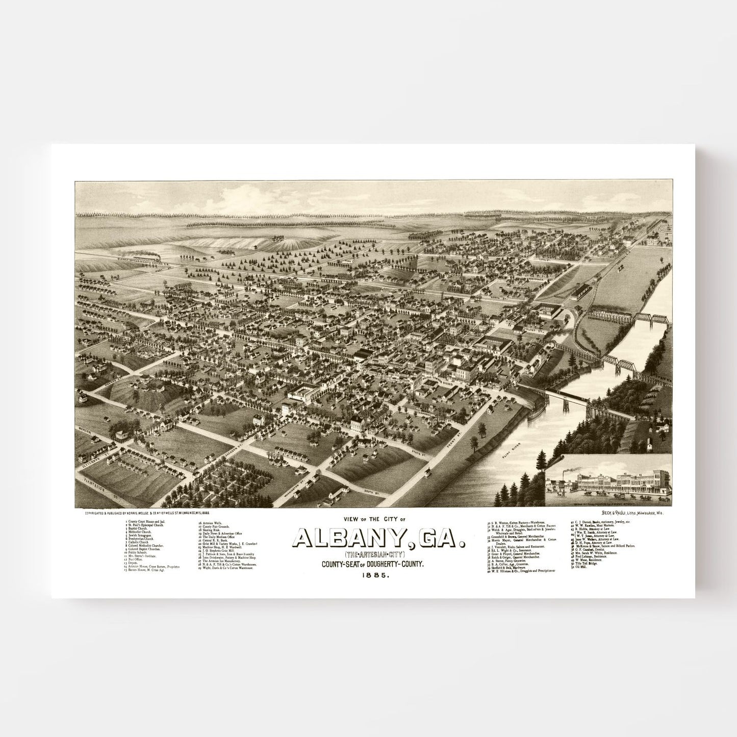 Vintage Map of Albany, Georgia, 1885
