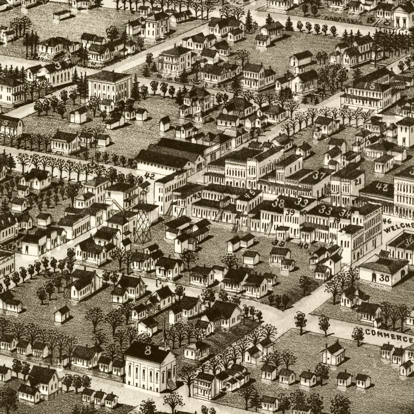 Vintage Map of Albany, Georgia, 1885