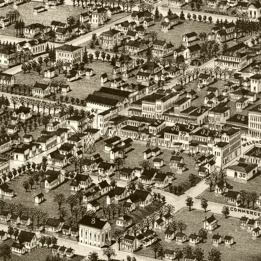 Vintage Map of Albany, Georgia, 1885