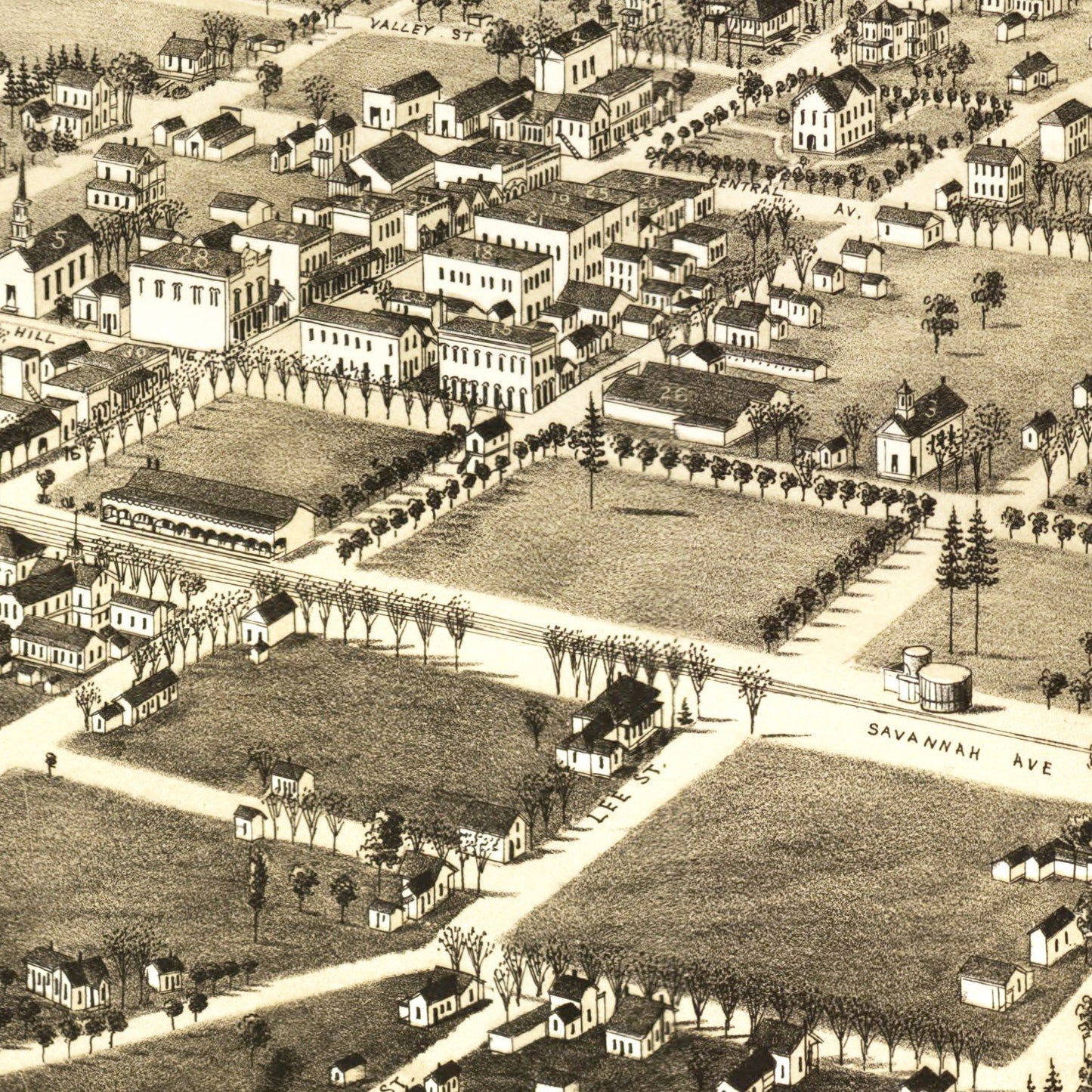 Vintage Map of Valdosta, Georgia, 1885