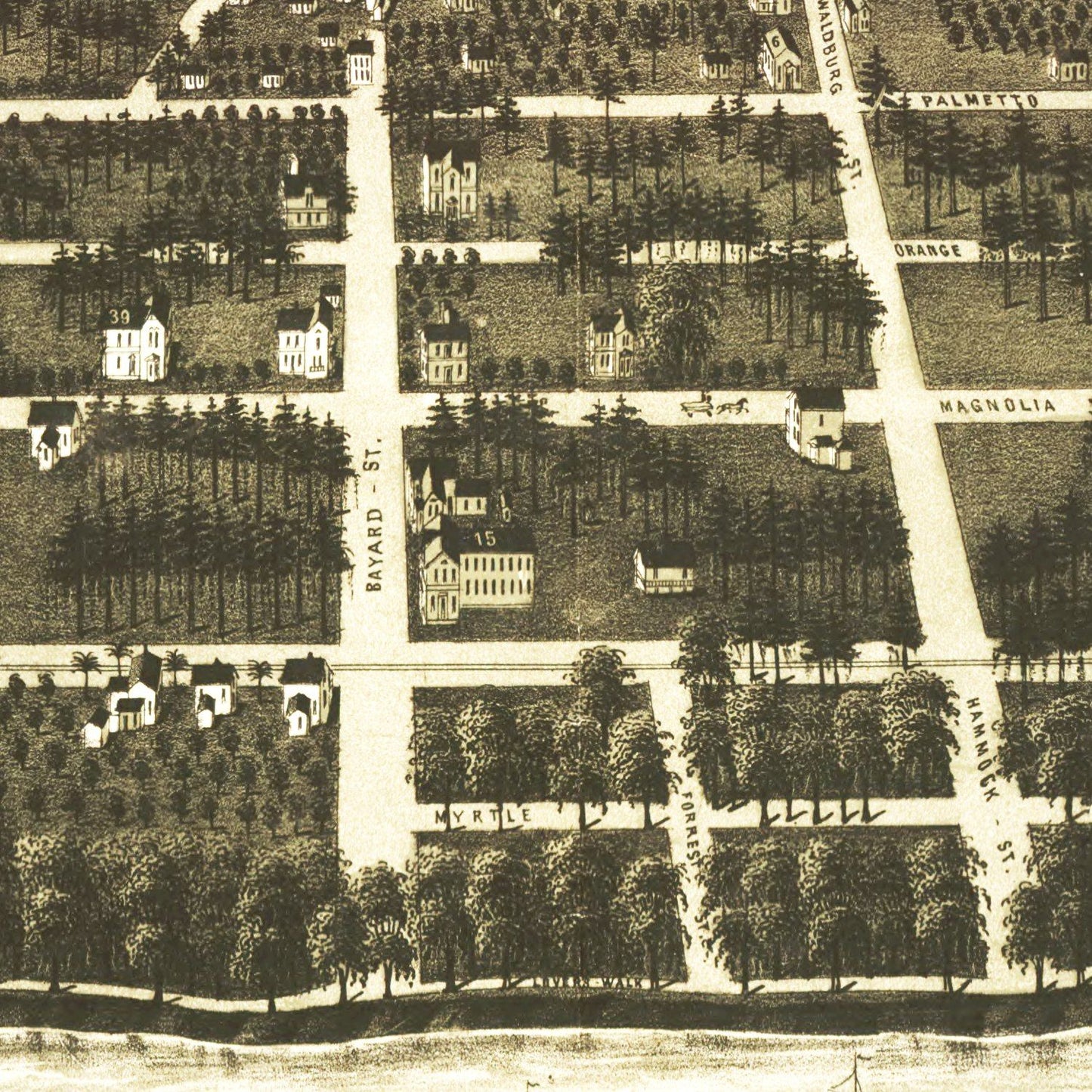 Vintage Map of Green Cove Springs, Florida, 1885
