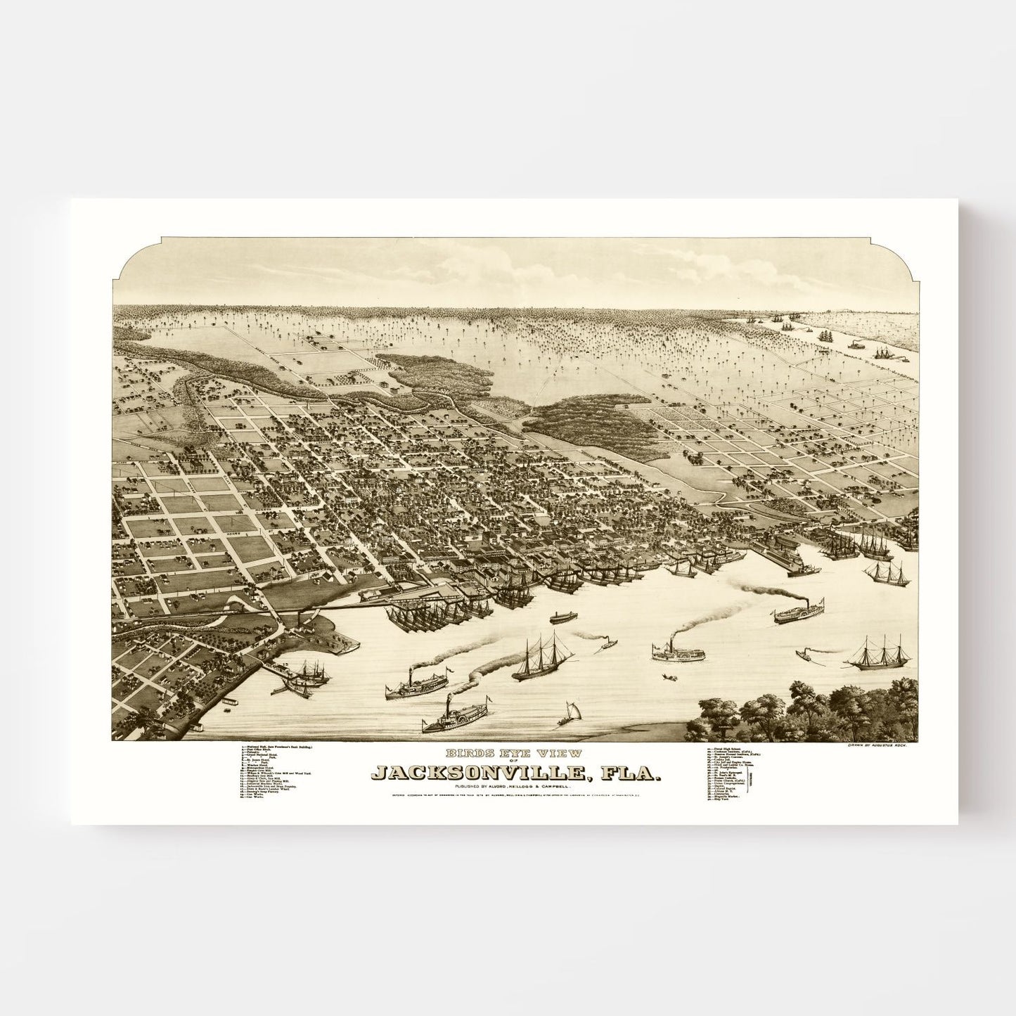 Vintage Map of Jacksonville, Duval County, Florida, 1876