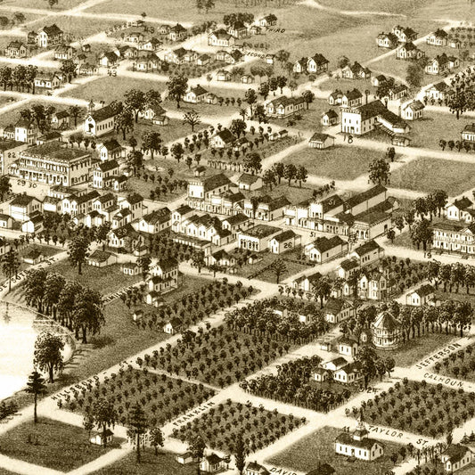 Vintage Map of Lake City, Florida, 1885
