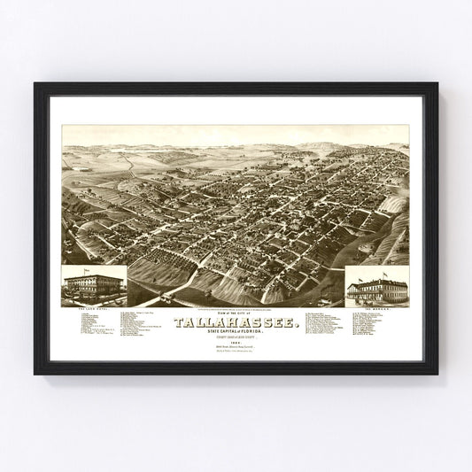 vintage map of Tallahassee, Florida, 1885