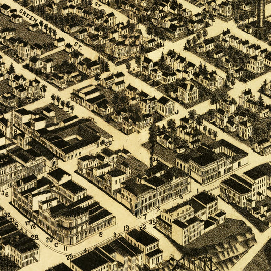Vintage Map of Selma, Alabama, 1887