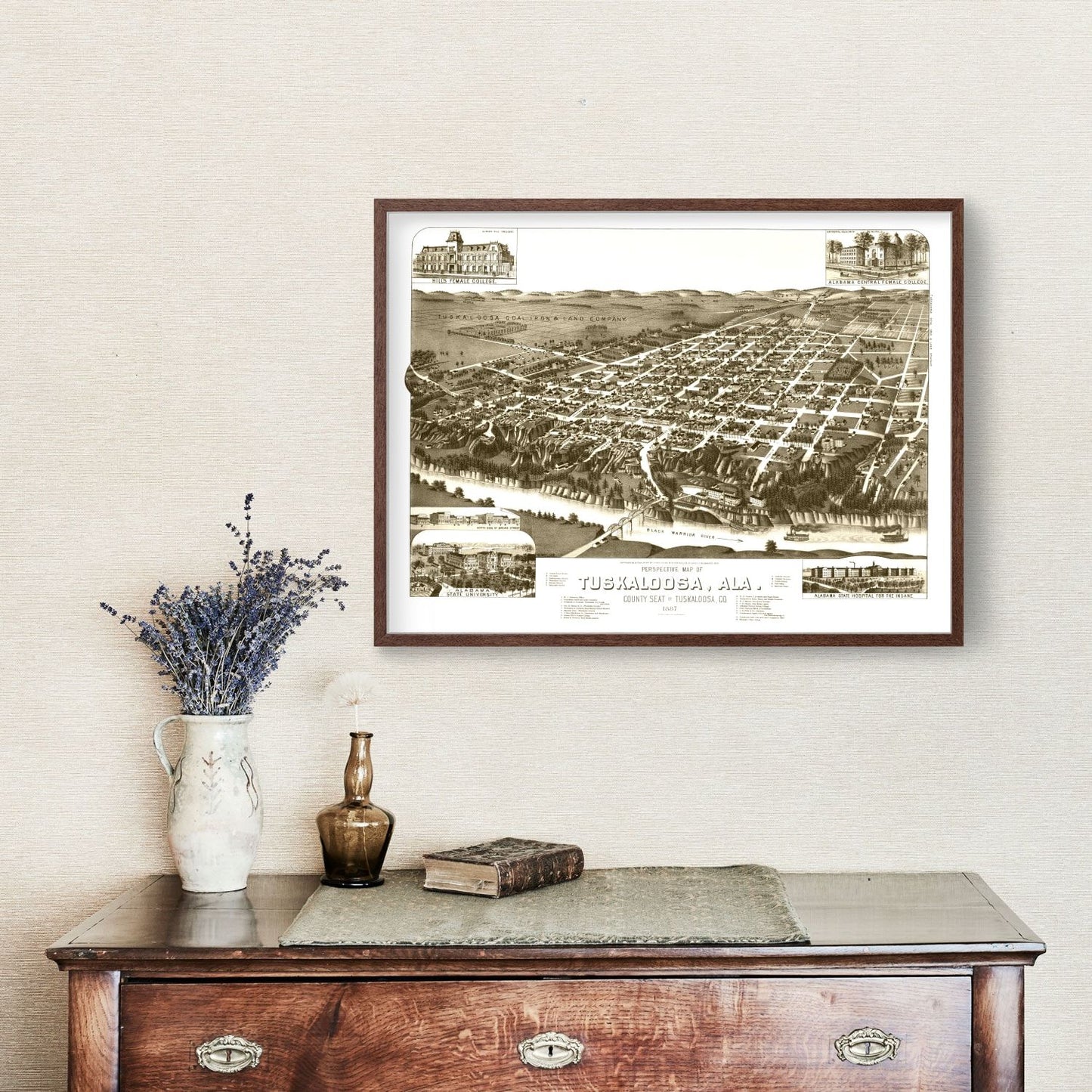 Vintage Map of Tuskaloosa, Alabama, 1887