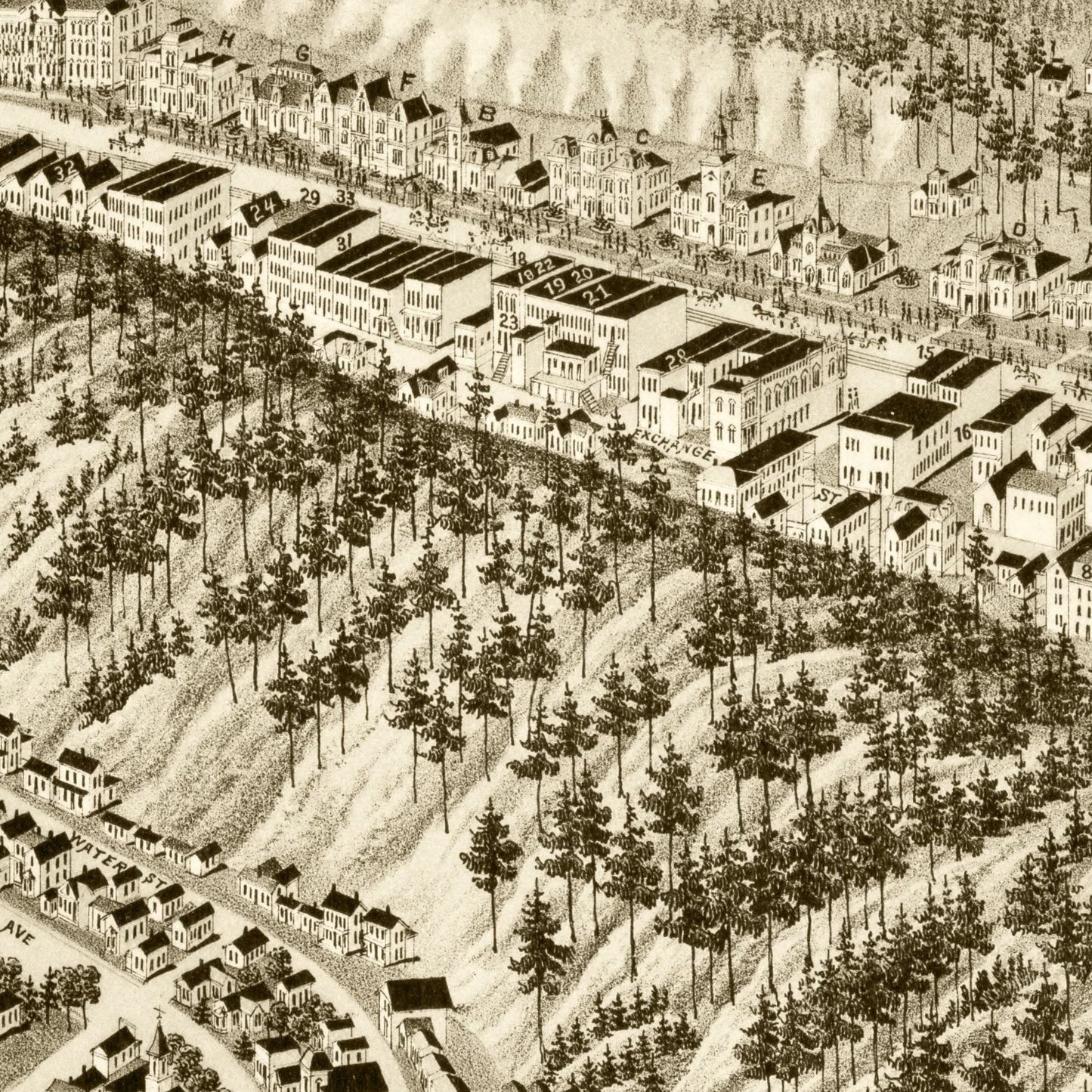 Vintage Map of Hot Springs, Garland County, Arkansas, 1888