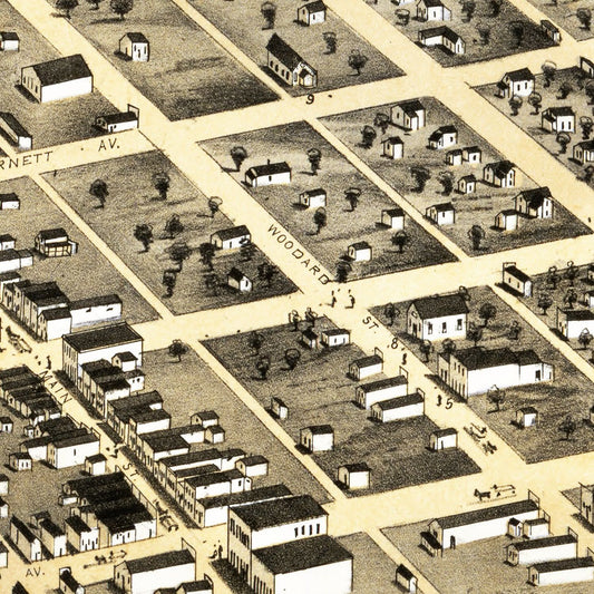 Vintage Map of Denison, Texas, 1873