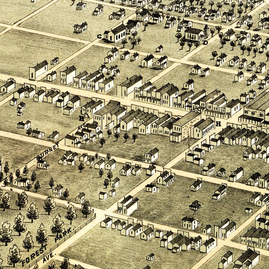 Vintage Map of Denison, Texas, 1876