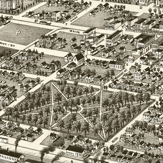 Vintage Map of Denison, Texas, 1886