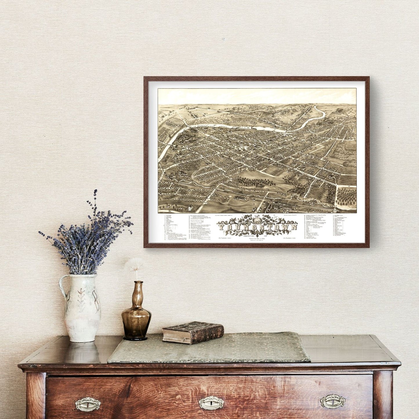 Vintage Map of Youngstown, Ohio, 1882