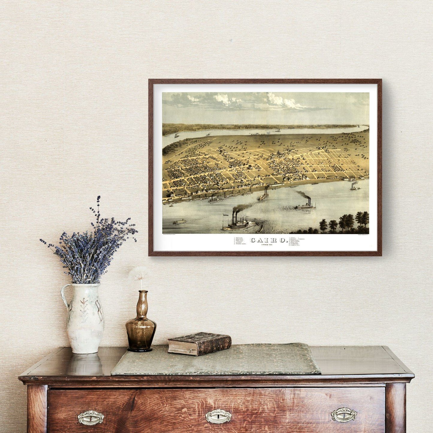 Vintage Map of Cairo, Illinois, 1867 Wall Art