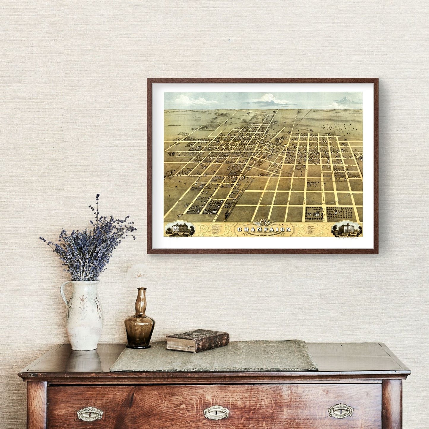 Vintage Map of Champaign, Illinois, 1869 Wall Art