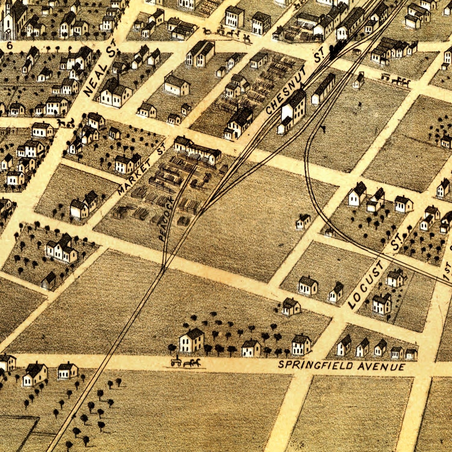 Vintage Map of Champaign, Illinois, 1869 Wall Art