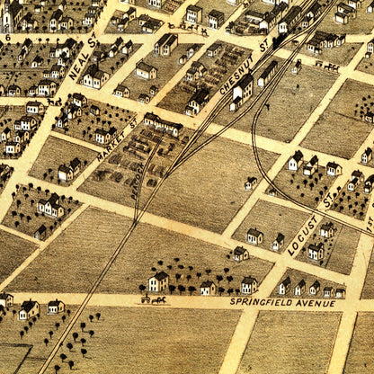 Vintage Map of Champaign, Illinois, 1869 Wall Art
