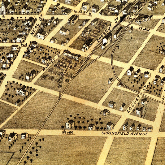 Vintage Map of Champaign, Illinois, 1869 Wall Art