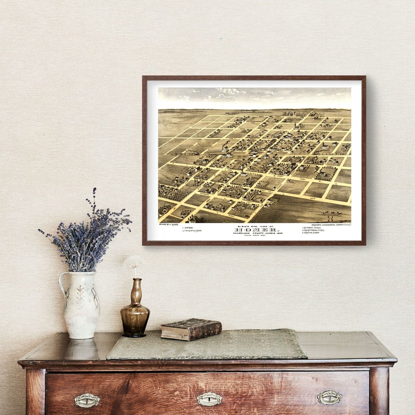 Vintage Map of Homer, Champaign County, Illinois, 1869