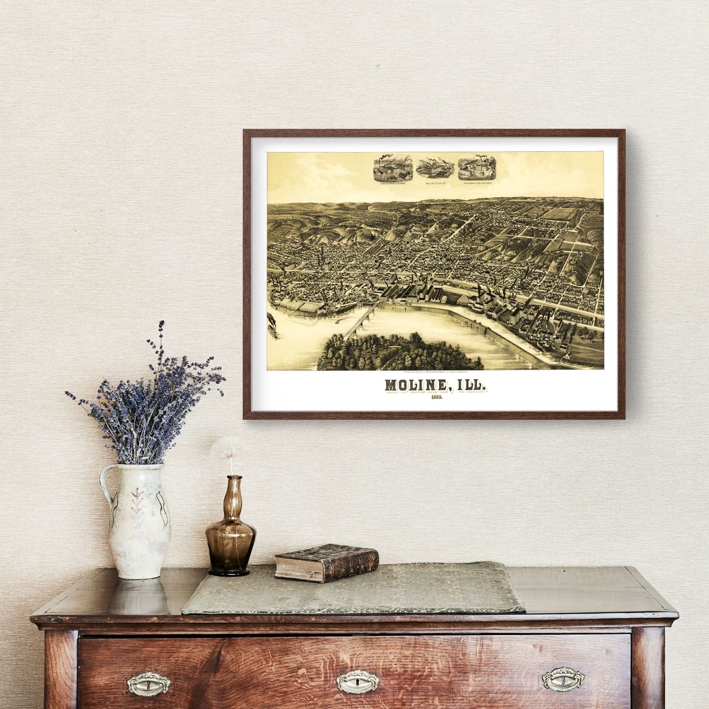 Vintage Map of Moline, Illinois, 1889