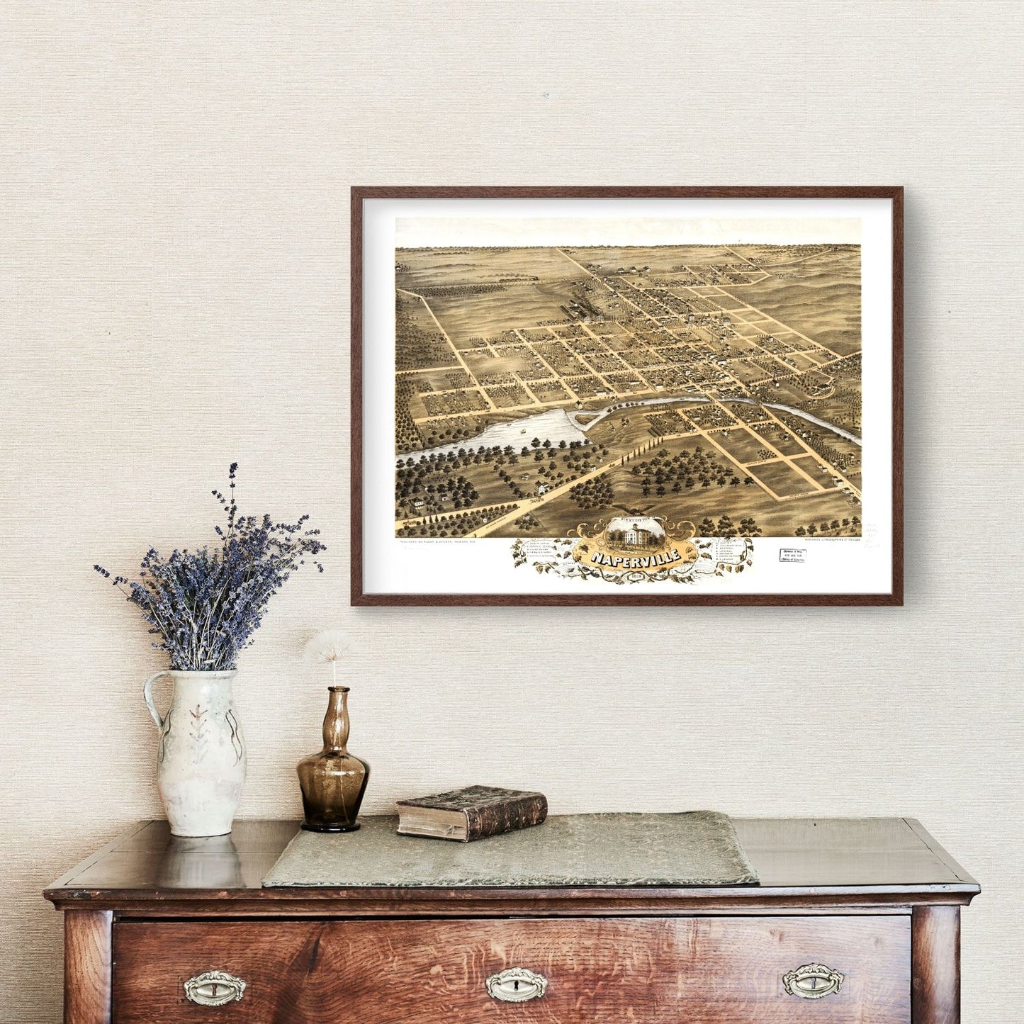 Vintage Map of Naperville, Illinois, 1869