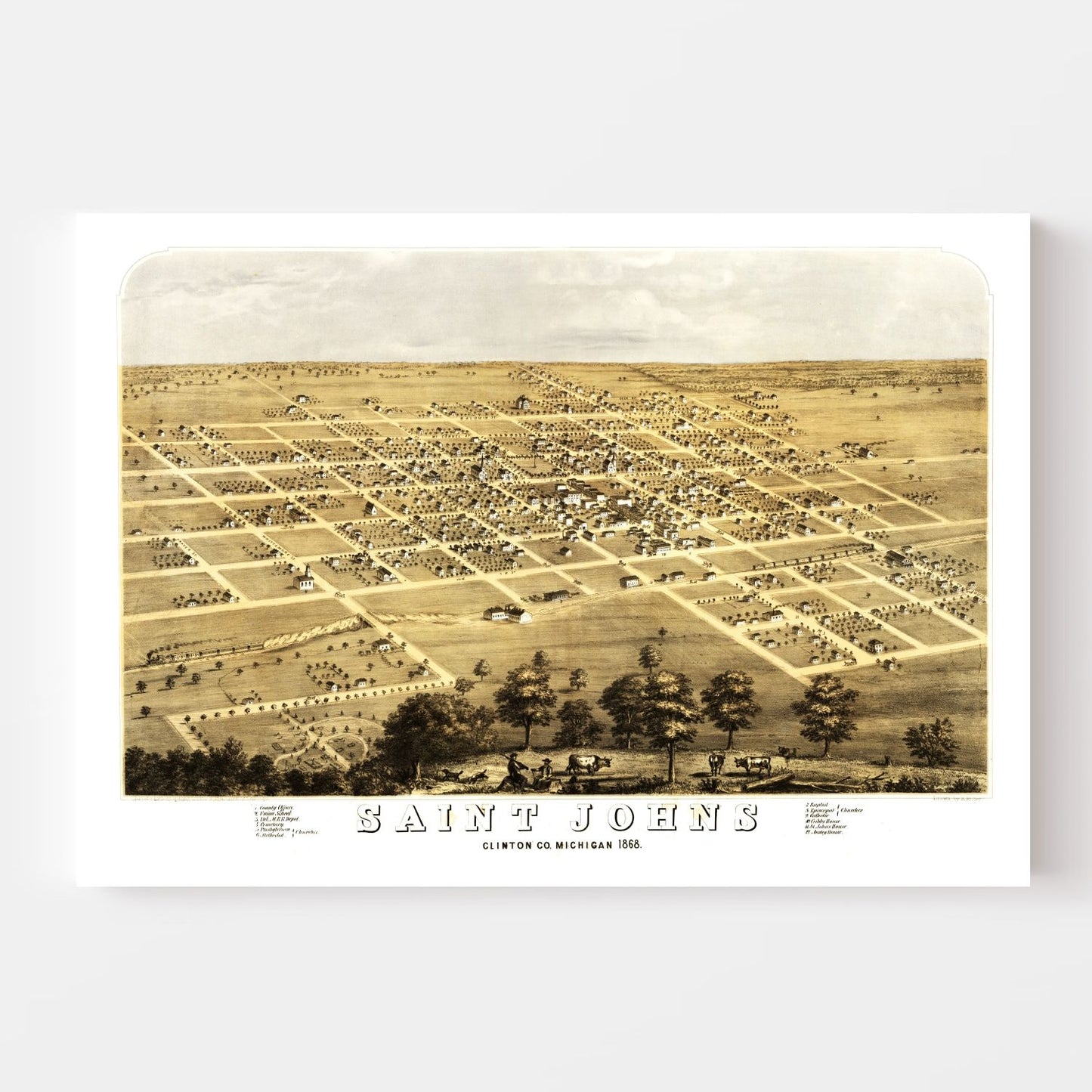 Vintage Map of Saint Johns, Michigan, 1868
