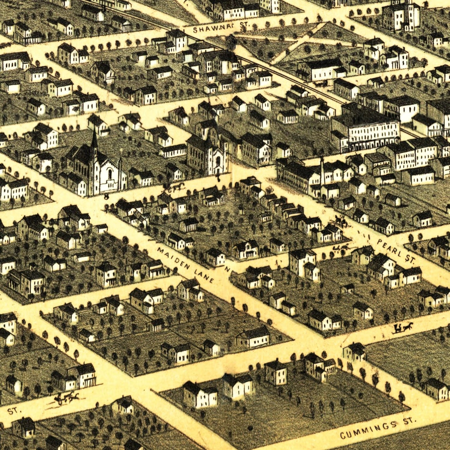 Vintage Map of Tecumseh, Michigan, 1868