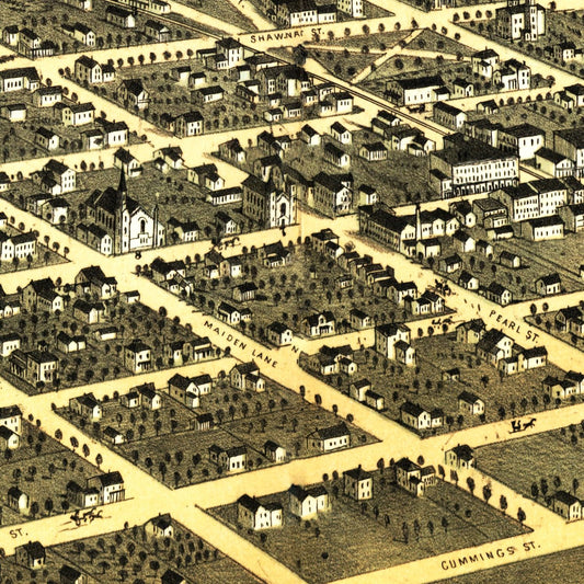 Vintage Map of Tecumseh, Michigan, 1868