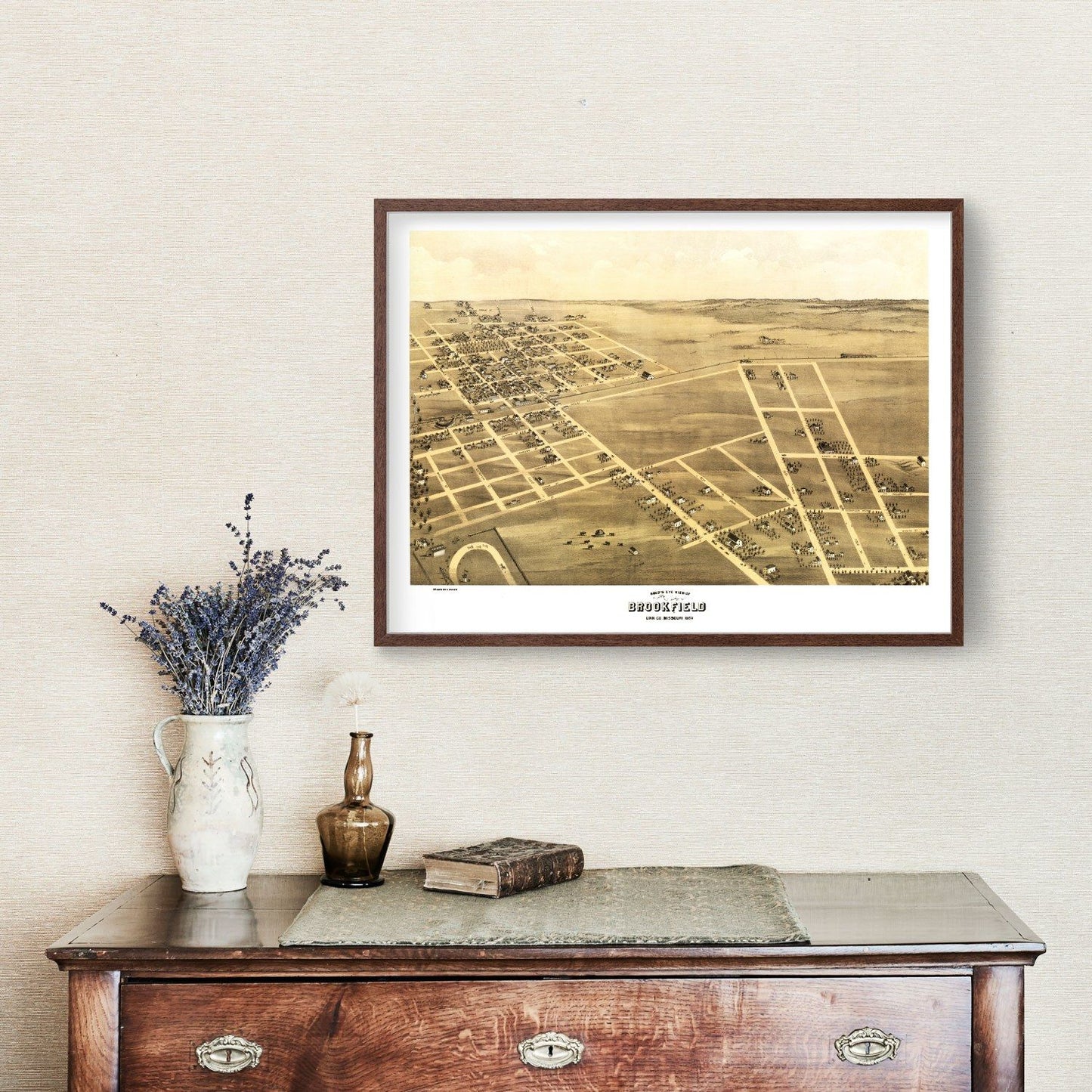 Vintage Map of Brookfield, Missouri 1869