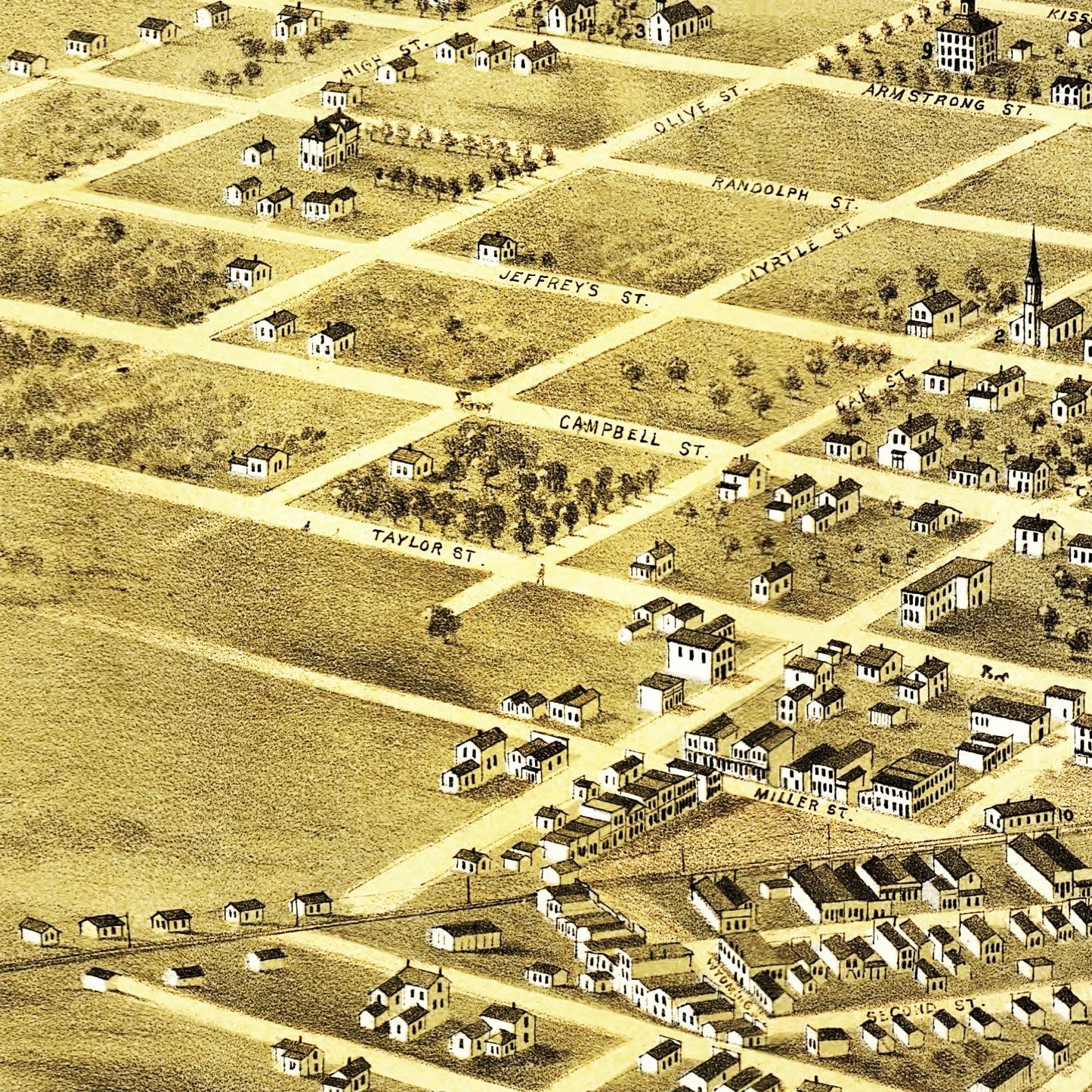 Vintage Map of Pleasant Hill, Missouri, 1869