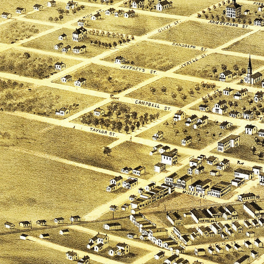 Vintage Map of Pleasant Hill, Missouri, 1869