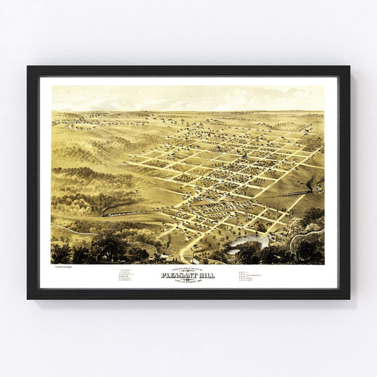 vintage map of Pleasant Hill, Missouri, 1869