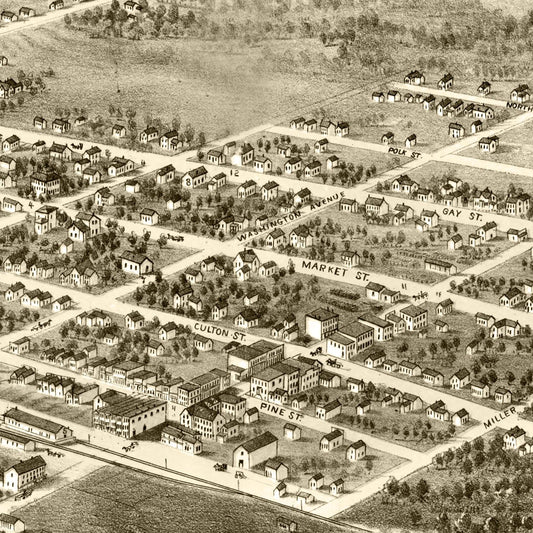 Vintage Map of Warrensburg, Missouri, 1869