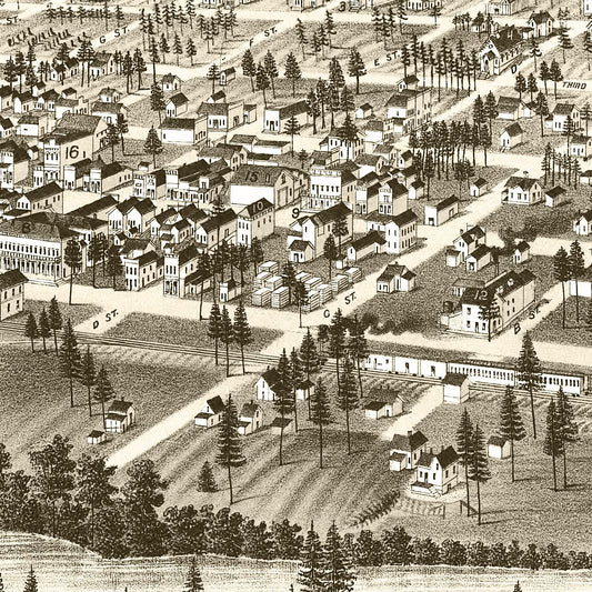 Vintage Map of Cheney, Washington, 1884