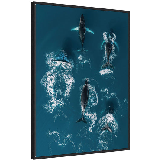 School of humpback whales framed canvas wall art, ocean decor
