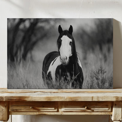 Wild hearts run free black and white paint horse wall art in golden prairie light